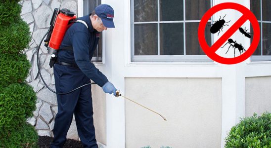 Beşikdüzü Dezenfeksiyon böcek ilaçlama ve haşere kontrolü — ilaclama-tr.com